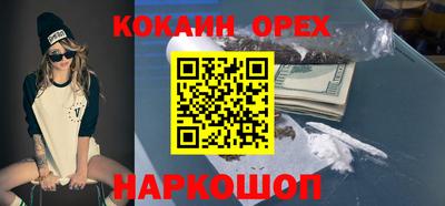 соль ск Новозыбков
