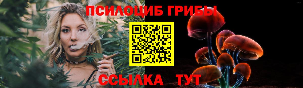 Галлюциногенные грибы Psilocybe  даркнет сайт  Топки  Вход с VPN 